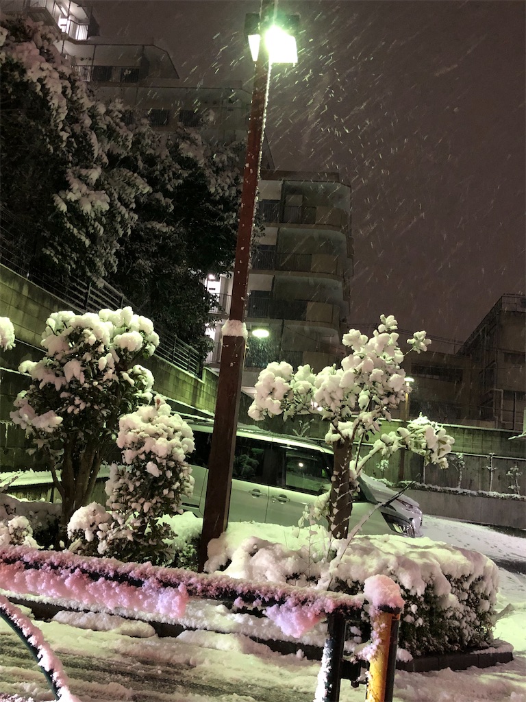 f:id:folliculogenesis:20220106174925j:image f:id:folliculogenesis:20220106174925j:image