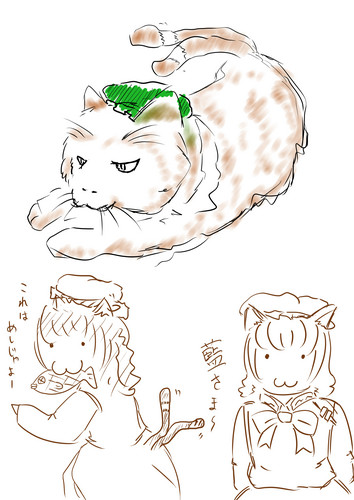 ちぇん　（橙）
