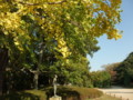 20091107135850