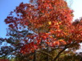 20091107140825