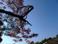 20091107140853