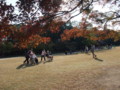 20091107140952