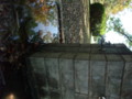 20091107141124