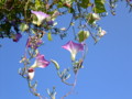 20091107141655
