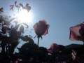 20091107142717
