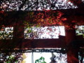 20091108125457