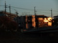 20091108162955