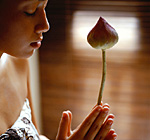 f:id:fooca-yoga:20100622071543j:image