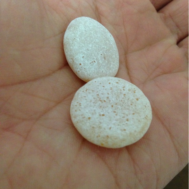f:id:foodtexture-life:20150314193521j:plain f:id:foodtexture-life:20150314193521j:plain