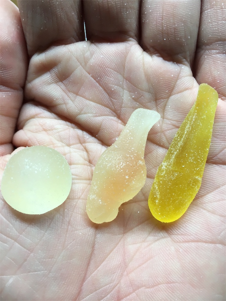 わくわくずかんグミ めだかさん編
