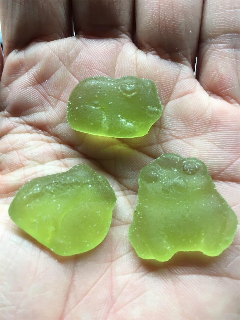 わくわくずかんグミ かえるさん編