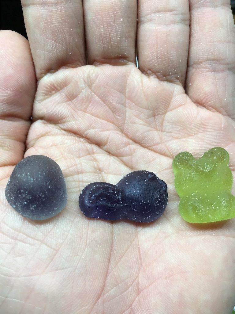 わくわくずかんグミ かえるさん編