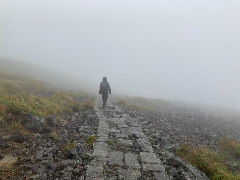 f:id:foodwriter:20250102092655j:image