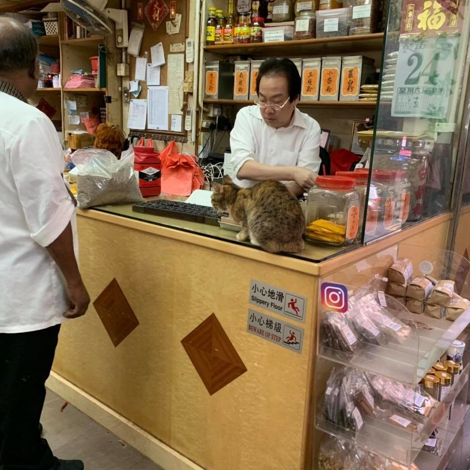 f:id:fookpaktsuen:20181125174210j:plain f:id:fookpaktsuen:20181125174210j:plain
