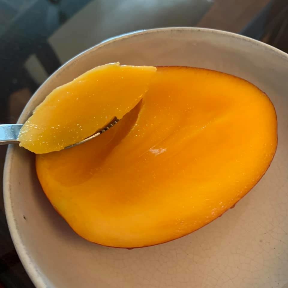 f:id:fookpaktsuen:20190612224623j:plain f:id:fookpaktsuen:20190612224623j:plain