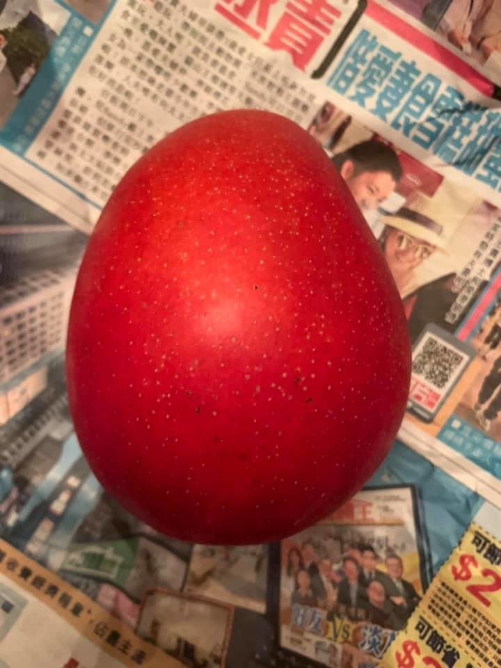 f:id:fookpaktsuen:20190612224626j:plain f:id:fookpaktsuen:20190612224626j:plain