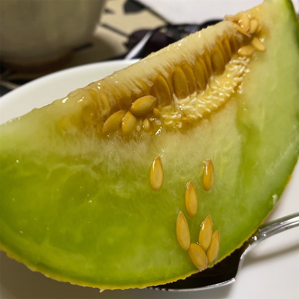 f:id:fookpaktsuen:20200608224224j:image f:id:fookpaktsuen:20200608224224j:image