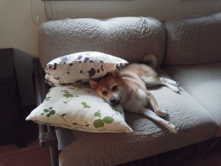 f:id:foolontheplanet:20121018230808j:image