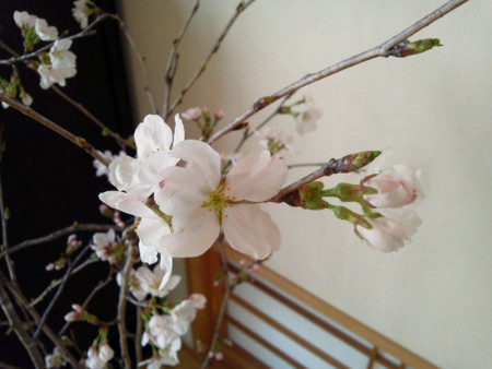 f:id:foolontheplanet:20130321232751j:image