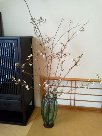 f:id:foolontheplanet:20130321232752j:image