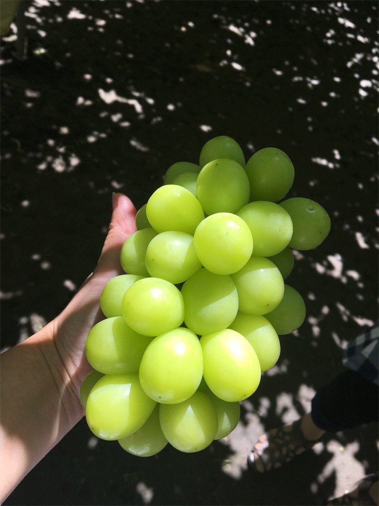 f:id:foolontheplanet:20180826183804j:image
