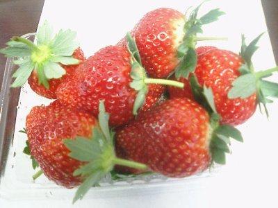 f:id:foolyou:20050112123903:image