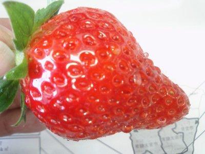 f:id:foolyou:20050112123942:image