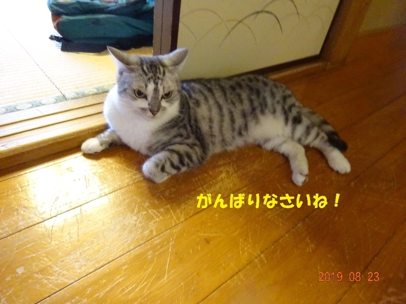 イメージ 2