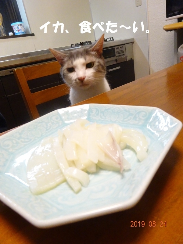 イメージ 6