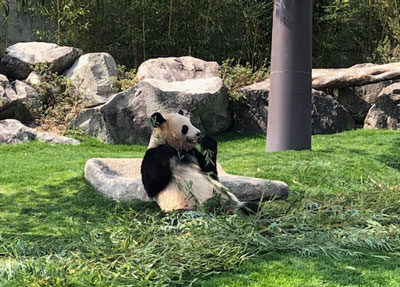 f:id:for-mom:20180405113729j:plain