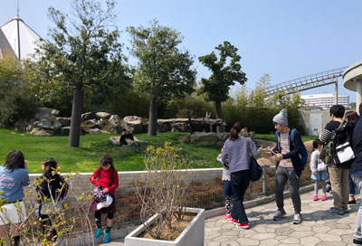 f:id:for-mom:20180405113733j:plain