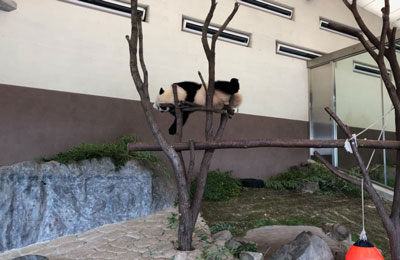 f:id:for-mom:20180405113736j:plain