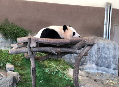 f:id:for-mom:20180405113739j:plain