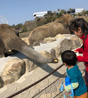 f:id:for-mom:20180405113749j:plain