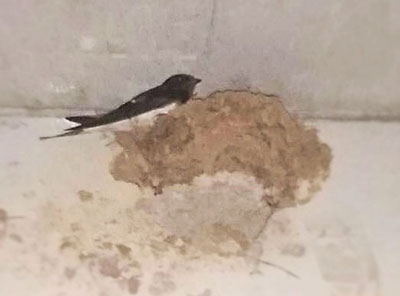 f:id:for-mom:20180605115949j:plain f:id:for-mom:20180605115949j:plain