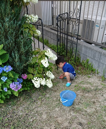 f:id:for-mom:20180713132533j:plain