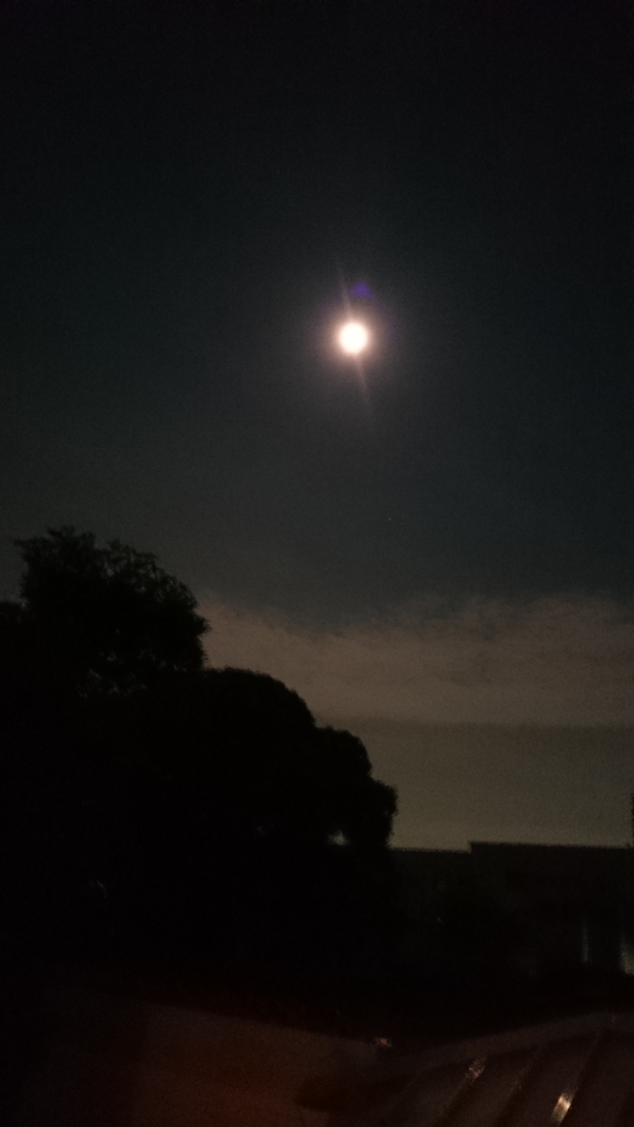 f:id:for-mom:20180913165548j:plain f:id:for-mom:20180913165548j:plain
