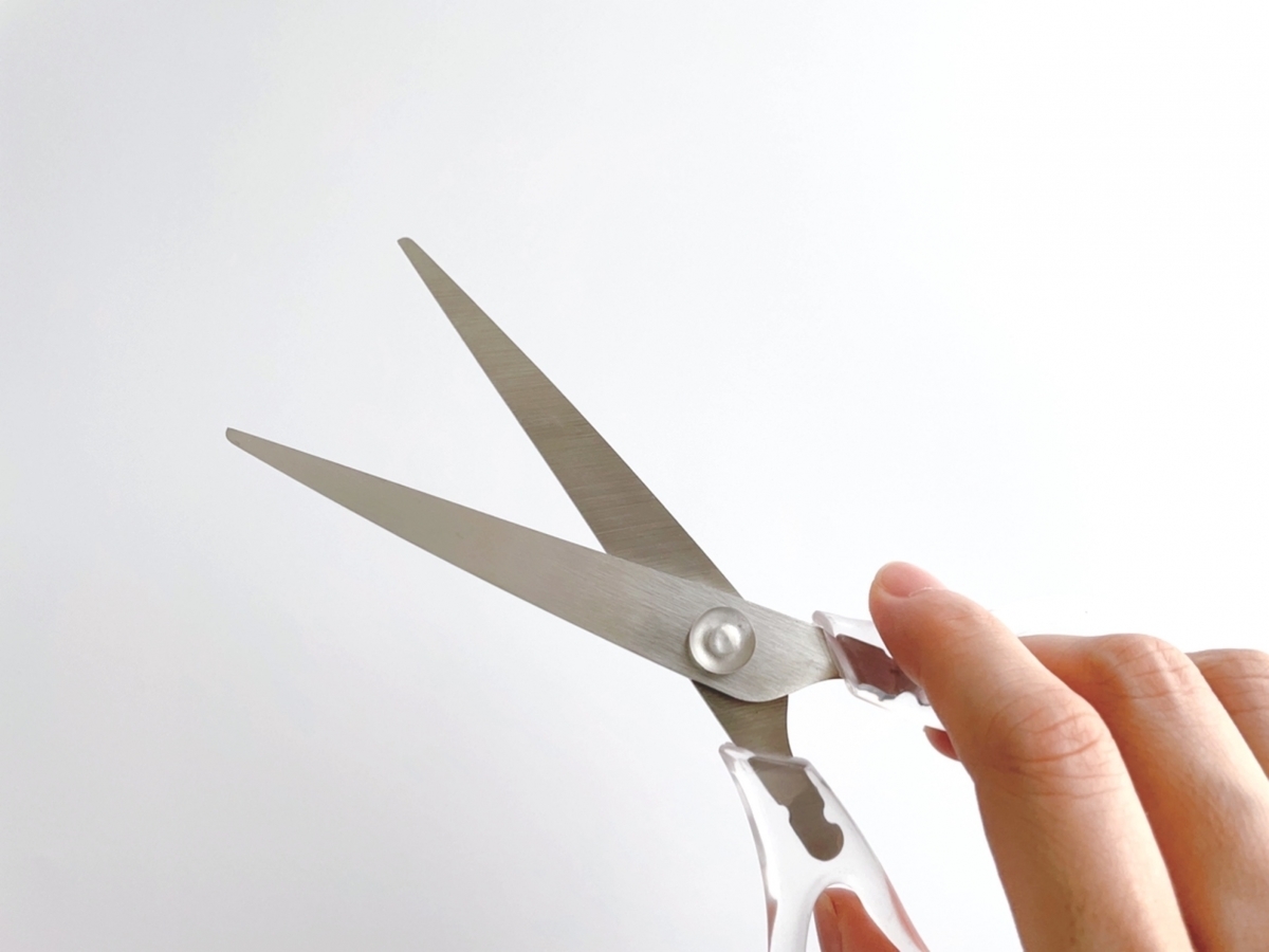 ハサミ