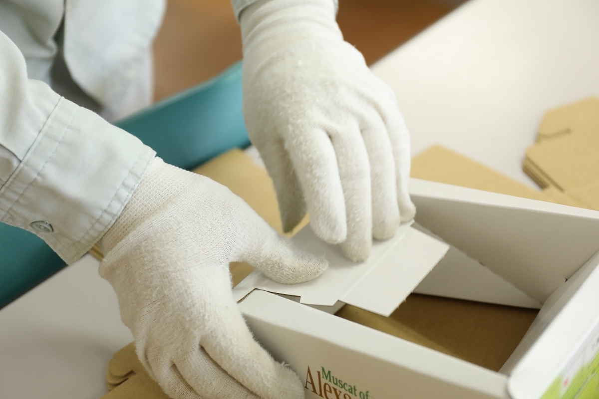 箱を組み立てる