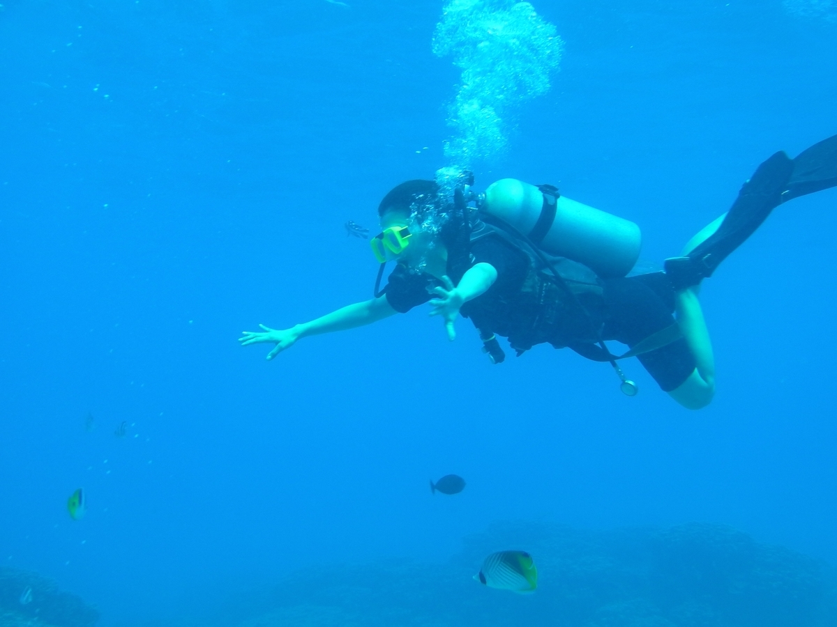 スキューバダイバー
