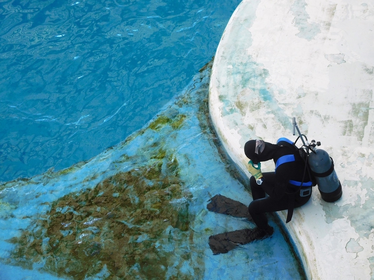 地上のダイバー