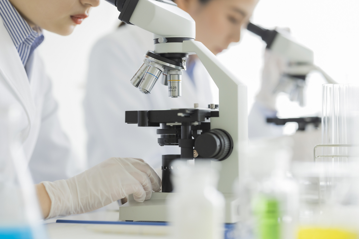 顕微鏡で研究する二人