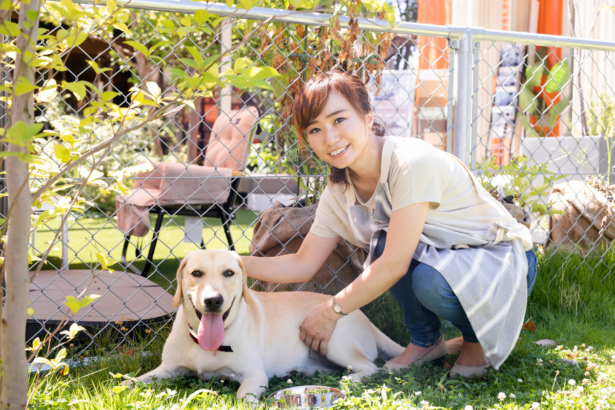 犬の世話をする女性