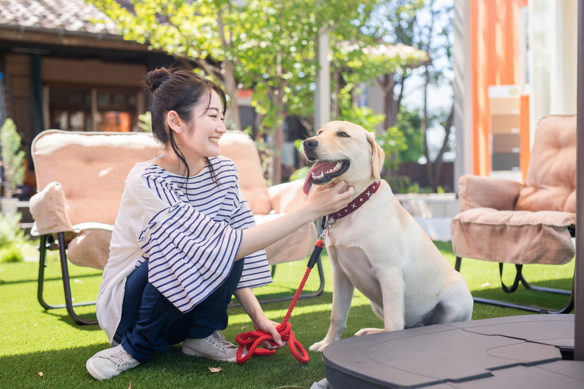 犬の世話をする女性