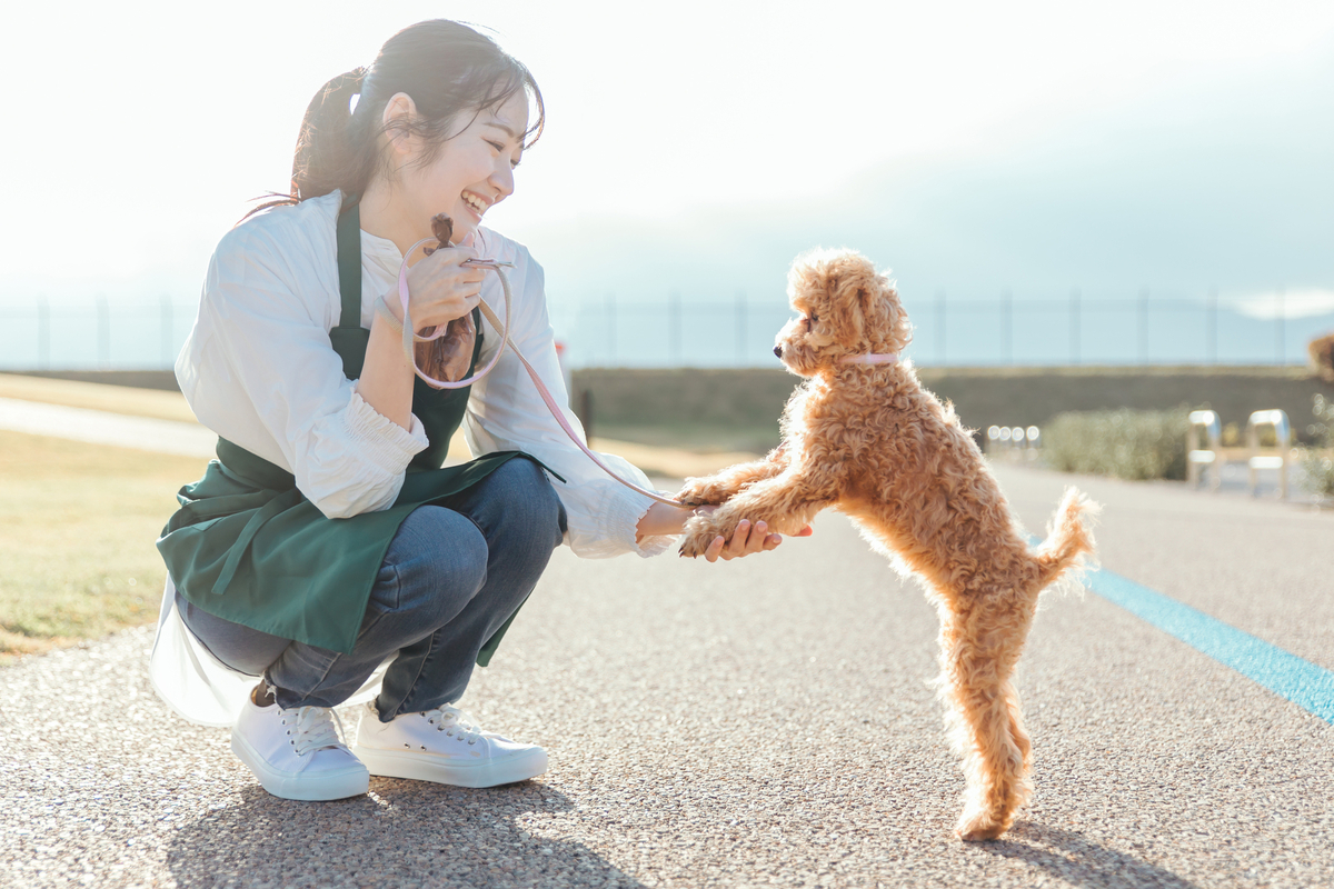 犬の散歩をする女性