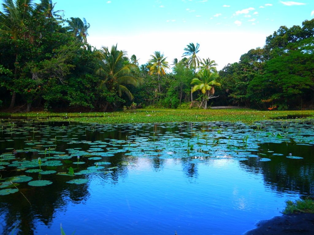 f:id:for_macho_365:20161229133952j:plain