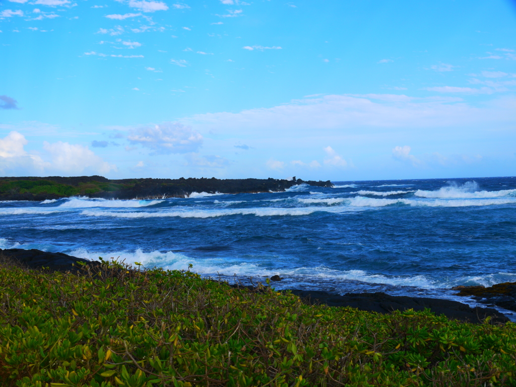 f:id:for_macho_365:20161229135417j:plain