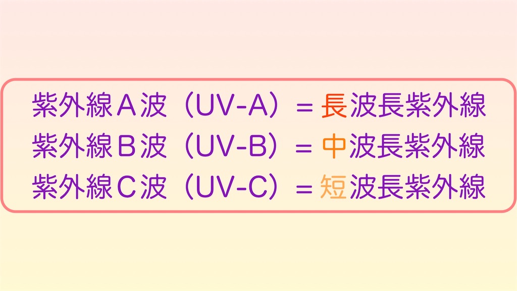 f:id:for_urskin24:20210313165548j:image