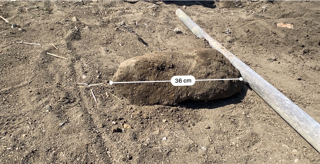 f:id:forcutlet:20230319234941j:image