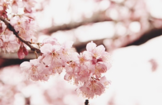 f:id:forenglish:20210323152301p:plain